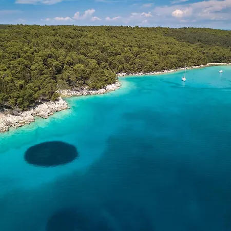 דירה 1 לופאר